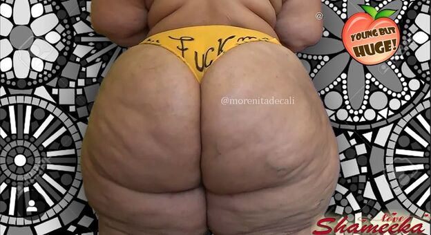 ASSZILLA