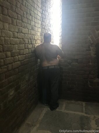 bullmusclejoe