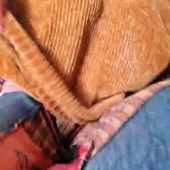 Cami Sweet Meztelen Kiszivárgások OnlyFans Fotó 40