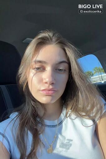 Exoticcerika