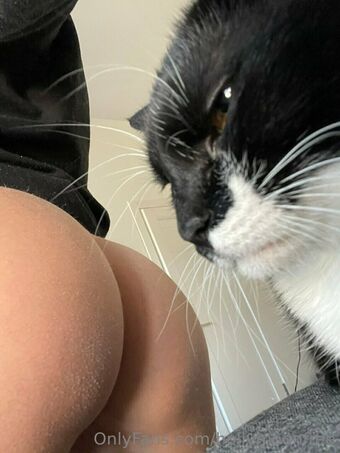 hollymoonvvip Meztelen Kiszivárgások OnlyFans Fotó 3