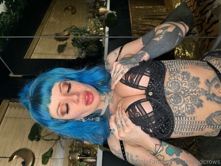 Katsandcrows
