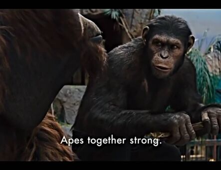 lilijunex Meztelen Kiszivárgások OnlyFans Fotó 125