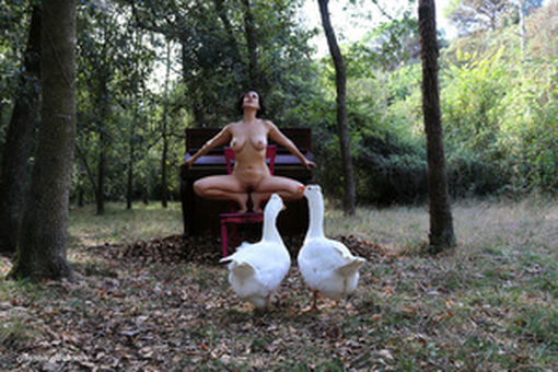 Luz Del Fierro Meztelen Kiszivárgások OnlyFans Fotó 57