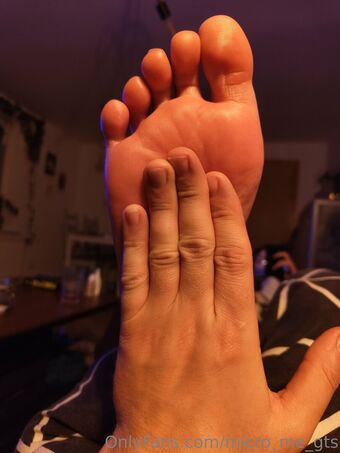 micro_me_gts