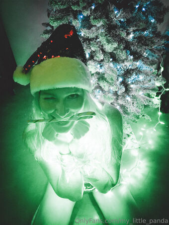 my_little_panda