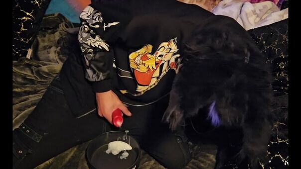 pawsheisty Meztelen Kiszivárgások OnlyFans Fotó 7