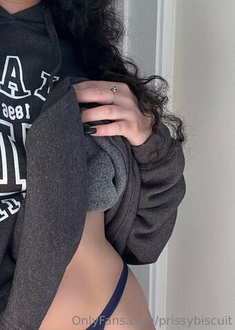 prissybiscuit Meztelen Kiszivárgások OnlyFans Fotó 18