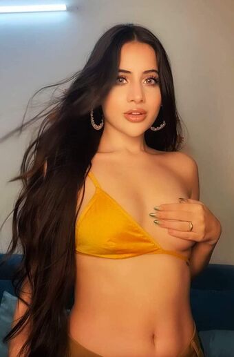 sofiaansari Meztelen Kiszivárgások OnlyFans Fotó 8