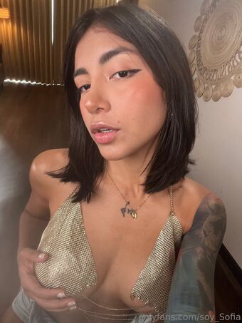 soysofia_2 Meztelen Kiszivárgások OnlyFans Fotó 54