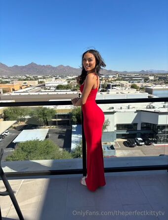 theperfectkittytv