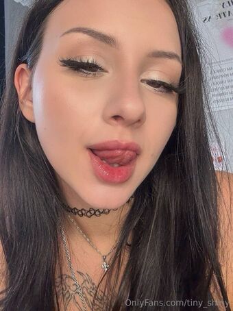 tiny_shiny Meztelen Kiszivárgások OnlyFans Fotó 14