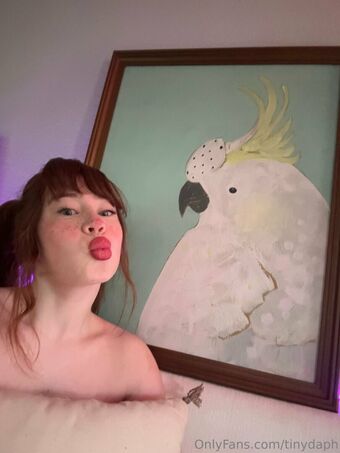 tinydaph Meztelen Kiszivárgások OnlyFans Fotó 14