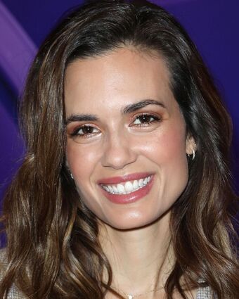 Torrey DeVitto Meztelen Kiszivárgások OnlyFans Fotó 27