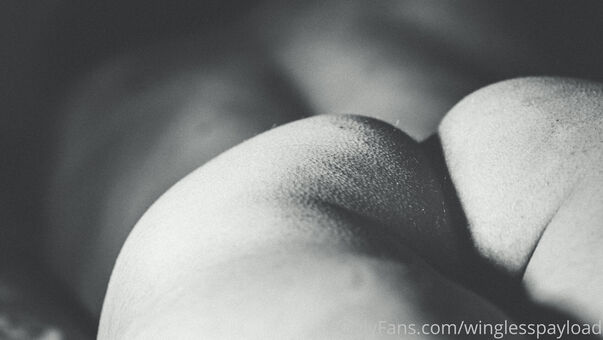 winglesspayload Meztelen Kiszivárgások OnlyFans Fotó 6
