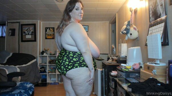 winkingdaisys Meztelen Kiszivárgások OnlyFans Fotó 112