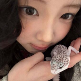 Wonhee Meztelen Kiszivárgások OnlyFans Fotó 5
